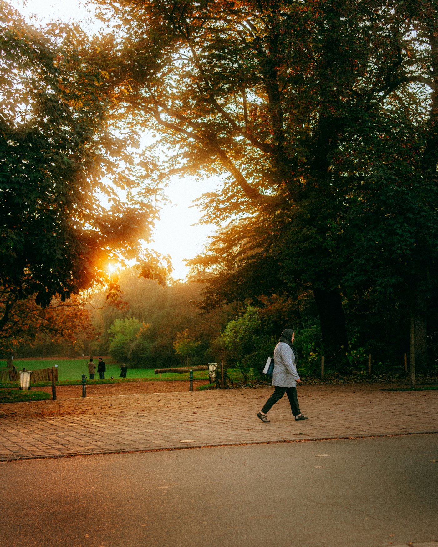 Person walking alone along a park path under autumn trees